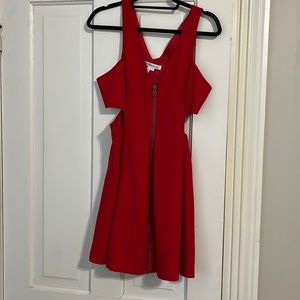 BCBG skater dress